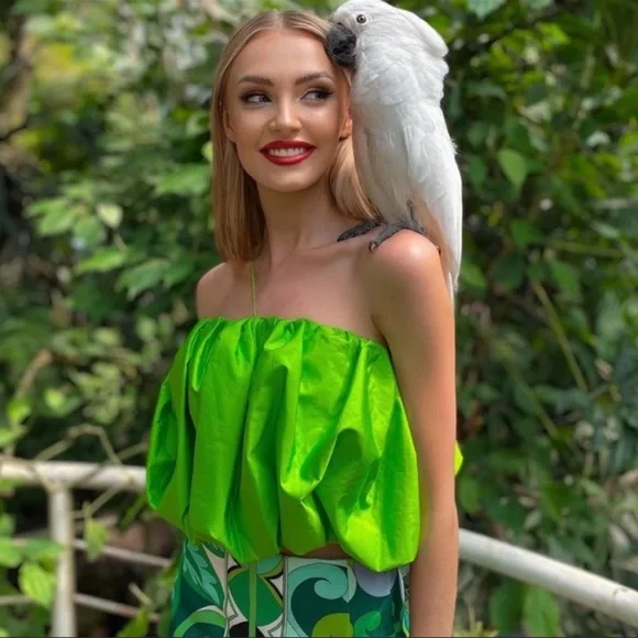 Zara BLOGGERS FAV LIMITED EDITION VOLUMINOUS TOP - Picture 4 of 8